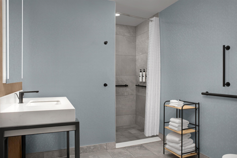Bathroom 4, Embassy Suites by Hilton Birmingham Hoover, Jefferson