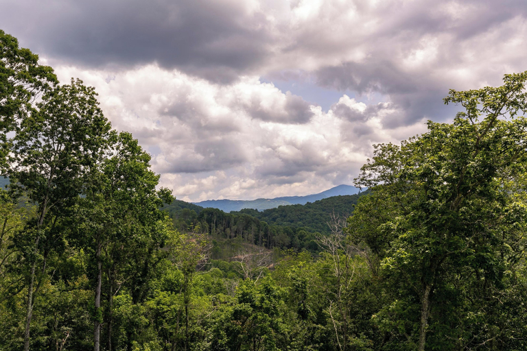 Interior 2, Bearingers Bluff at Eagles Nest, Avery