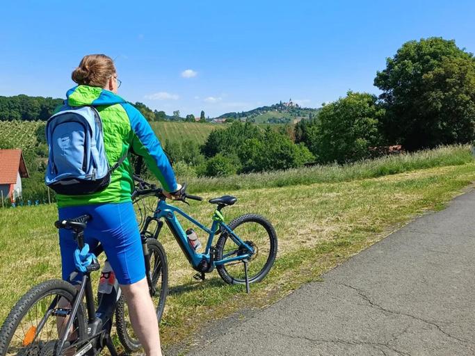 View from property 4, Kellerstockl in the Heart of Wine Country, Südoststeiermark