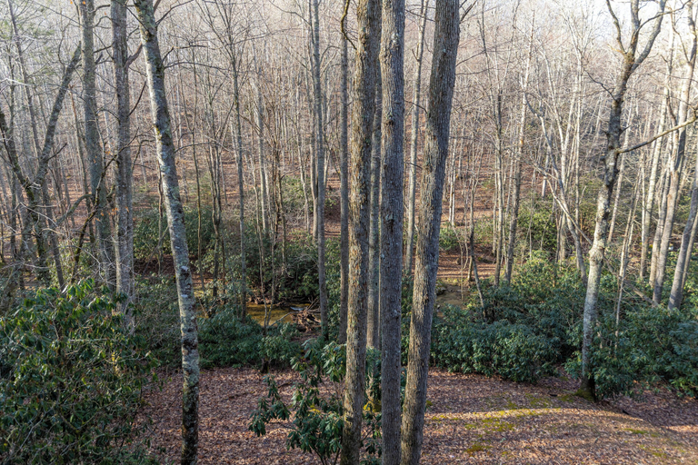 Interior 4, Log Heaven, Watauga