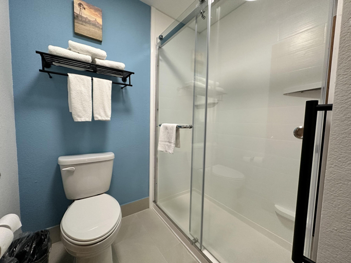 Bathroom 3, Holiday Inn Express & Suites Lexington, Dawson
