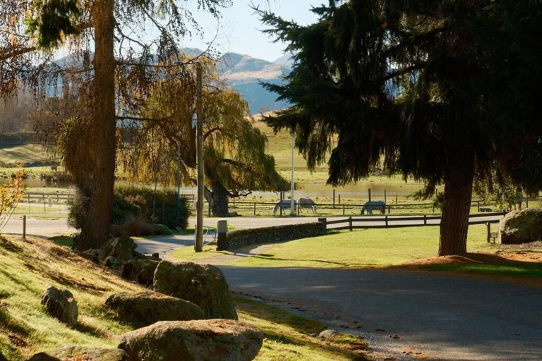 Miscellaneous 3, Sundale LUMI Pods, Queenstown-Lakes