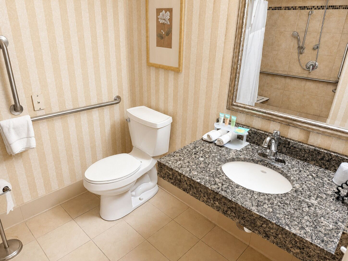 Bathroom 4, Heritage Hotel, Stark