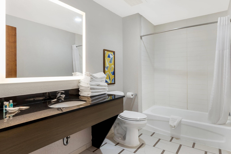 Bathroom 4, Comfort Inn & Suites, Berrien
