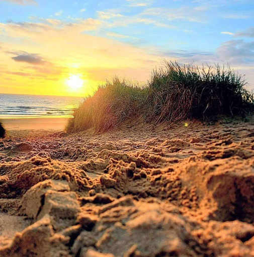 Beach 4, Rabbit Lodge Dog friendly nr Anderby Creek, Lincolnshire