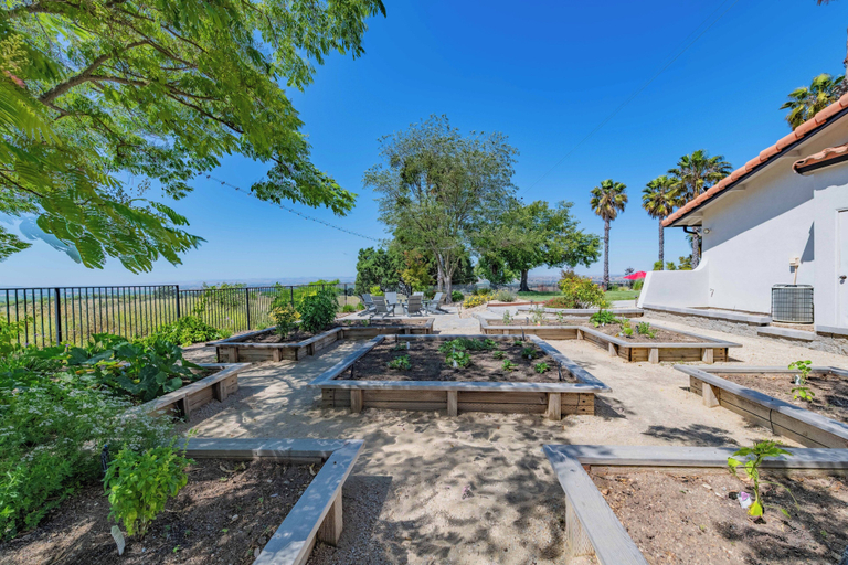 Others 4, Hilltop Oasis, San Luis Obispo