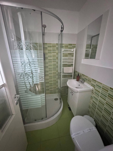 Bathroom, Premont Guesthouse Bran, Bran
