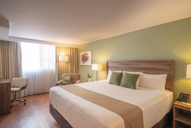 Bedroom 3, Hotel Stanza, Mexico City