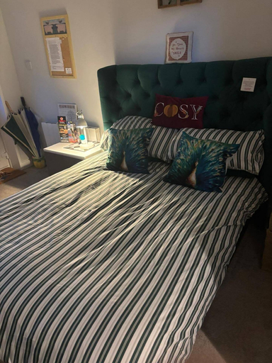 Room 5, Studio/near Beach/garden/parking/petsok, Sunderland