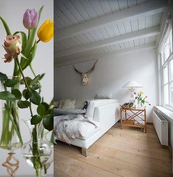 5, City Guesthouse De Rozenboom, Leeuwarden