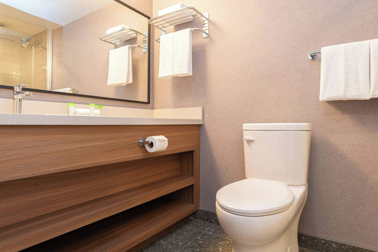 Bathroom 4, Sandman Hotel Victoria, Capital