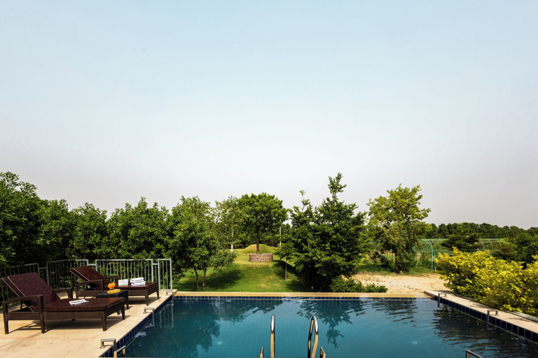 Pool 4, ELIVAAS Stone Age 6BHK Villa with Pool, Jaipur
