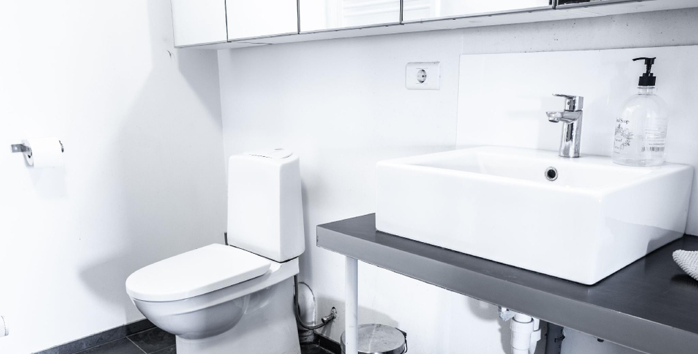Bathroom 3, Arngrímslundur, Hrunamannahreppur