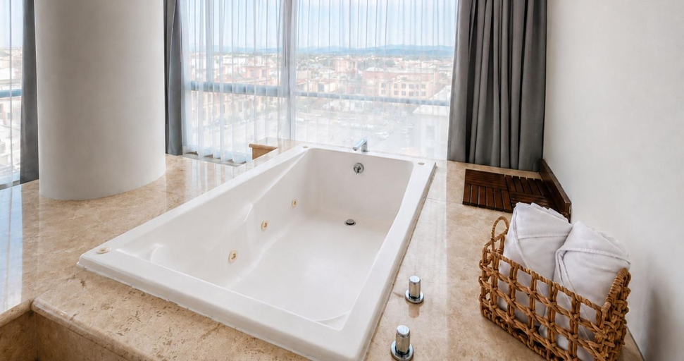 Bathroom 4, Panorama, San Luis Potosí