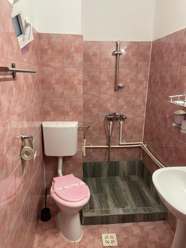 Bathroom, Casa David, Sulina