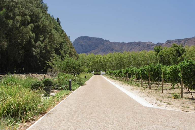 Others 3, Chambray Estate - The Terraces in the Vines, Cape Winelands