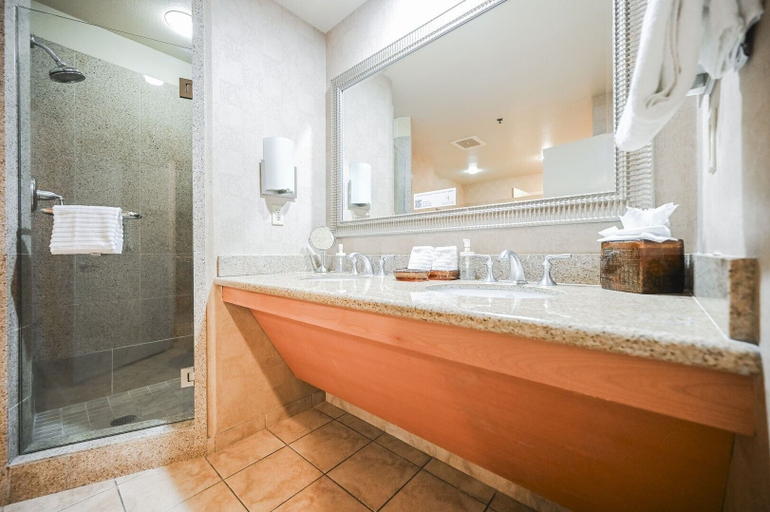 Bathroom 4, StripViewSuites at Platinum, Clark