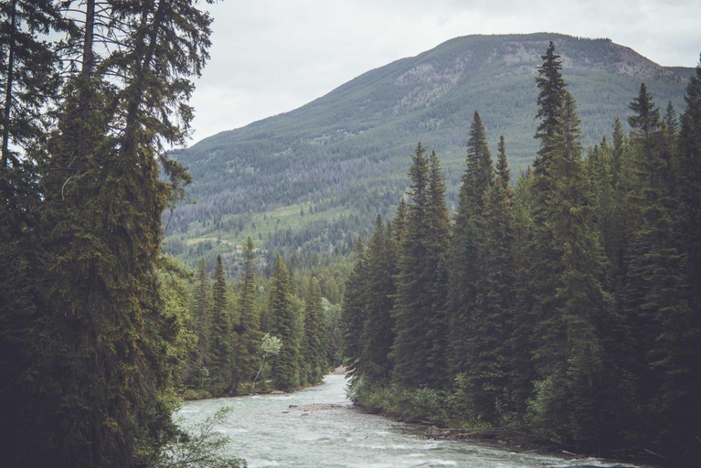 General view 5, Vacation Internationale Panorama Resort, East Kootenay