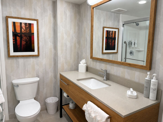 Bathroom 4, Hampton Inn Cartersville, Bartow