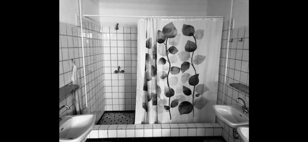 Others 4, Schwedischer Shelter unter Buchen, Göttingen
