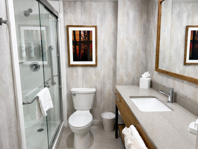 Bathroom 4, Hampton Inn Cartersville, Bartow