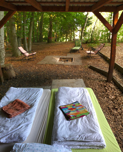 Others 5, Schwedischer Shelter unter Buchen, Göttingen