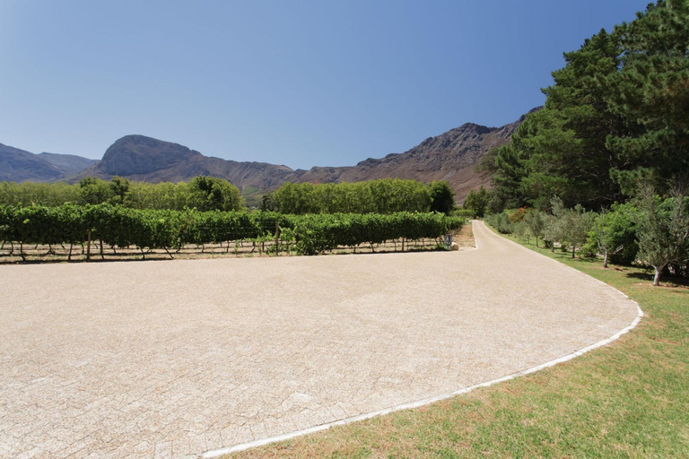 Others 4, Chambray Estate - The Terraces in the Vines, Cape Winelands