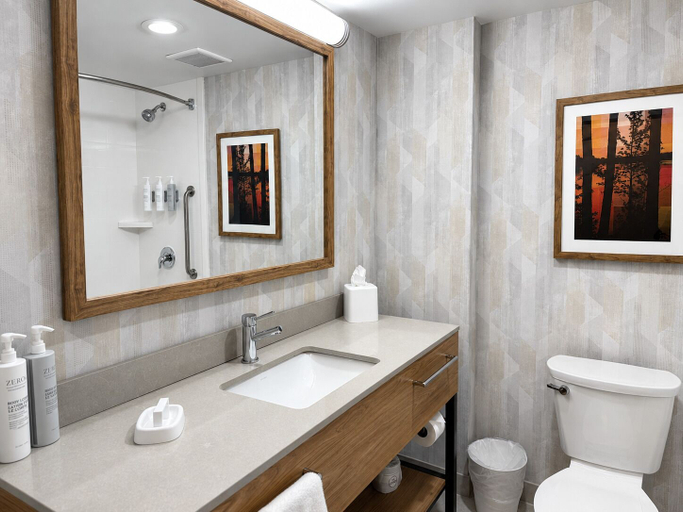 Bathroom 4, Hampton Inn Cartersville, Bartow