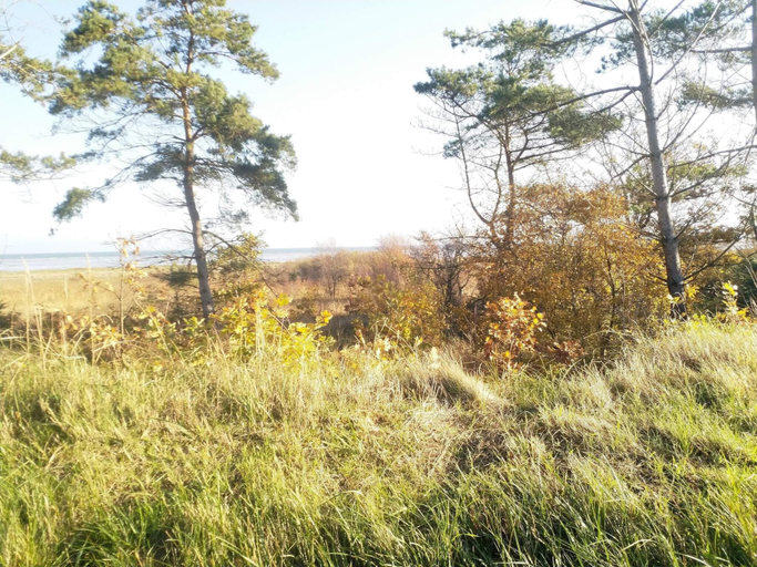 Miscellaneous 1, 4 Star Holiday Home in Hadsund, Mariagerfjord