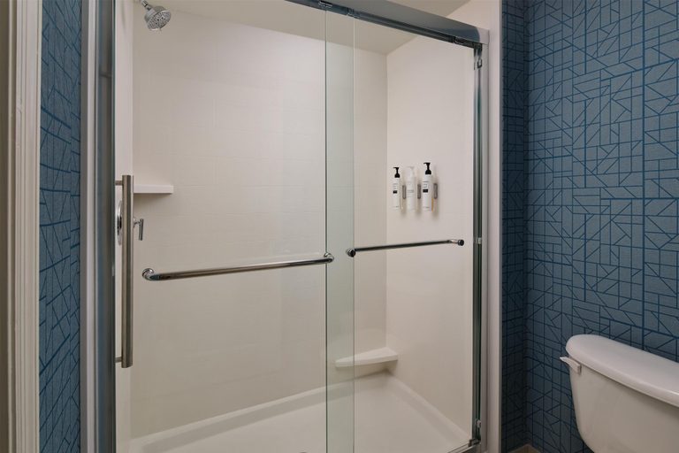 Bathroom 4, Homewood Suites by Hilton Macon-North, Bibb