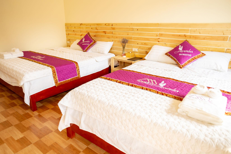 Bedroom 3, Lavender Homestay, Hoa Lư
