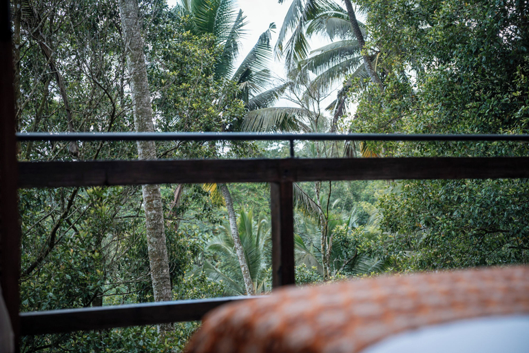 Property grounds, Oak House Sidemen, Karangasem