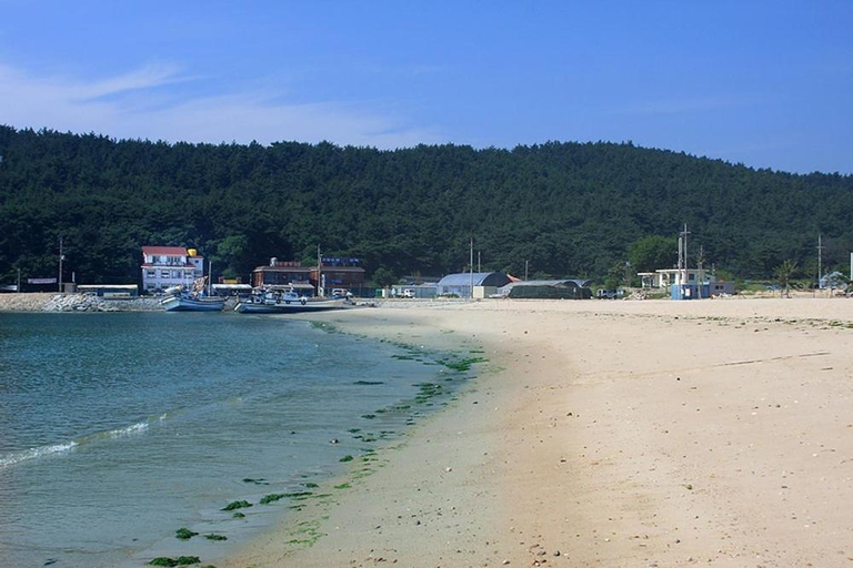 Others 5, Cheonripo Condo, Taean