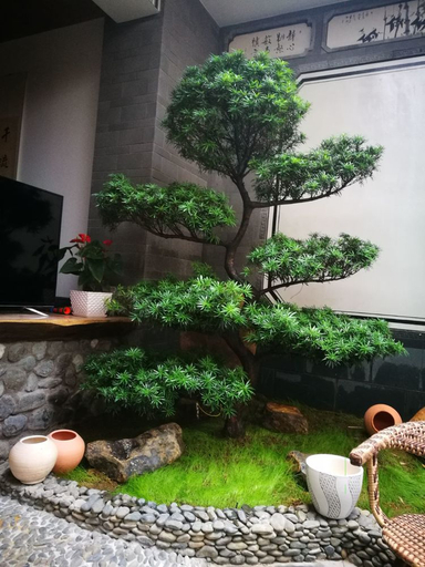 Others 5, Yinfeng Inn, Lincang