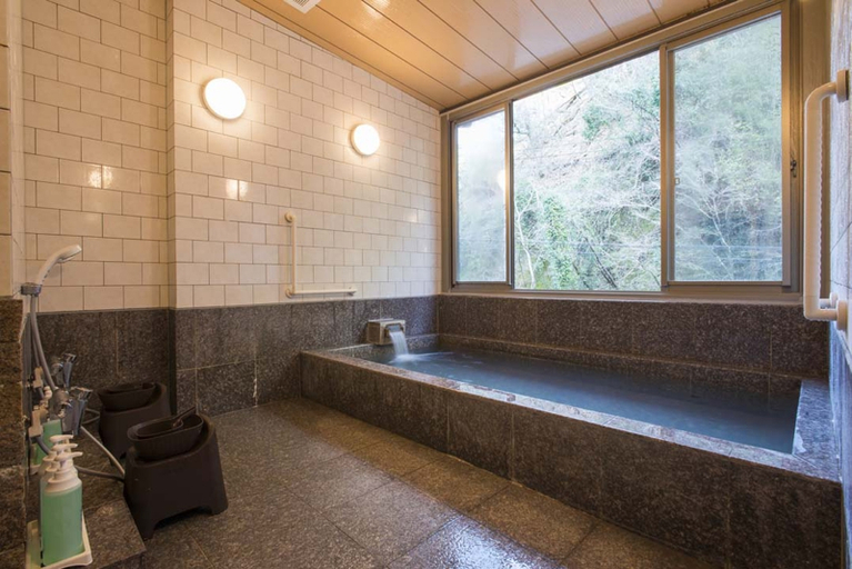 Bathroom 5, Kitashirakawa Natural Radium Onsen, Kyoto