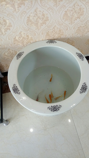 Bathroom 3, Huifeng Business Hotel, Nanjing