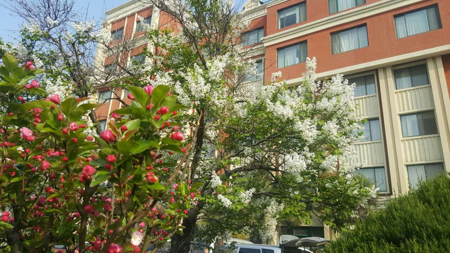Others 4, Dongdu Hotel, Tai'an