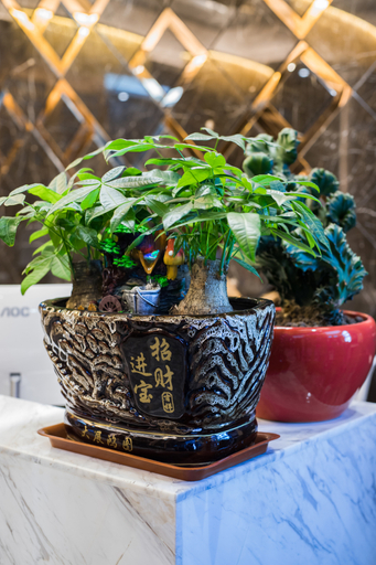 Food & Drinks, Changsha Manyue Future Hotel, Changsha