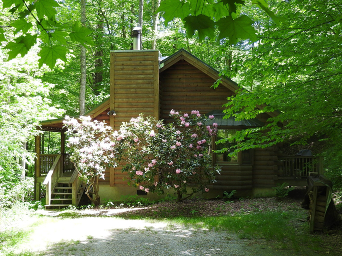 Primary image