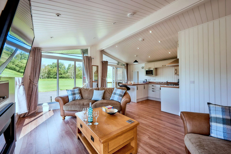 Living room 4, Premium Meadow Lodge in Errol, Perthshire and Kinross