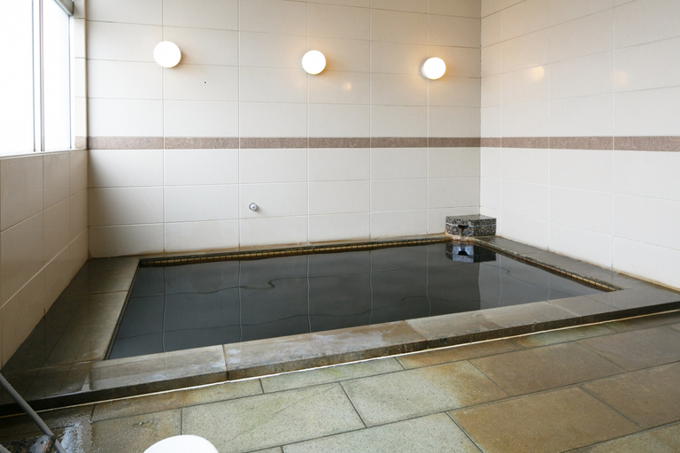 Bathroom 3, Tokyo Bayplaza Hotel, Kisarazu