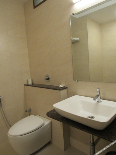 Bathroom 4, Palguni Residency, Hassan