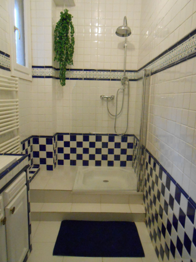 Bathroom 4, ラ パサジェール, Allier