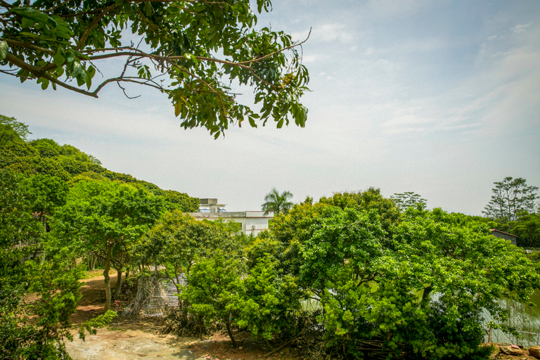Others 5, Modong Orchard Farmstay Boluo Luofu Moutain, Huizhou