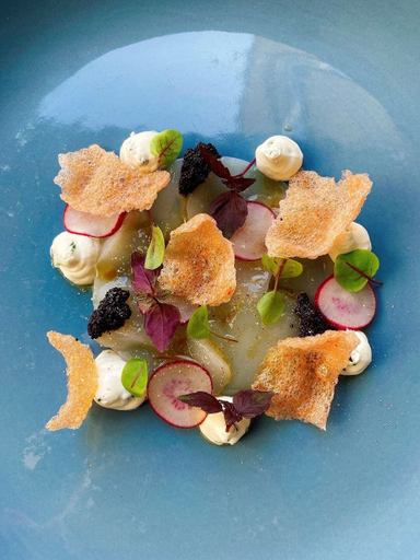 Food & Drinks 5, ホテル ネルソン, West-Vlaanderen