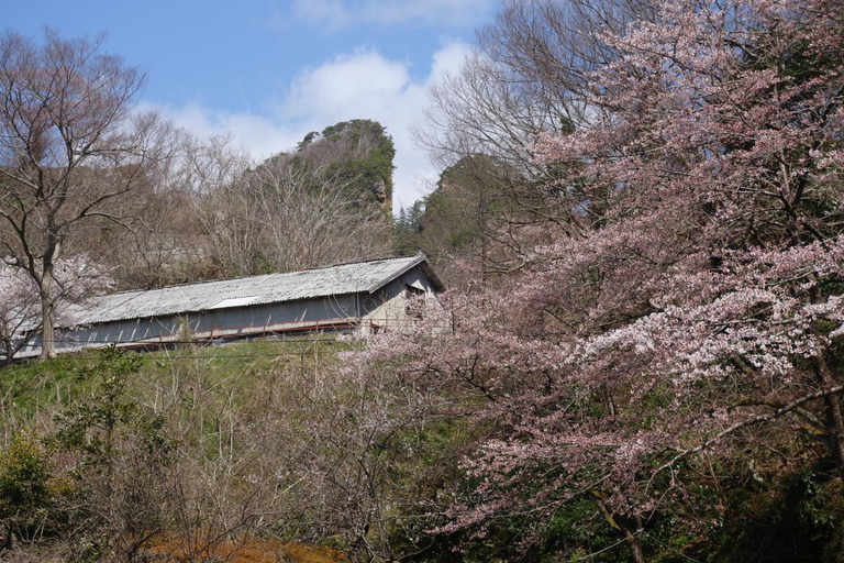 Others 5, Natural Mind Tour guest house - Vacation STAY 22268v, Sado