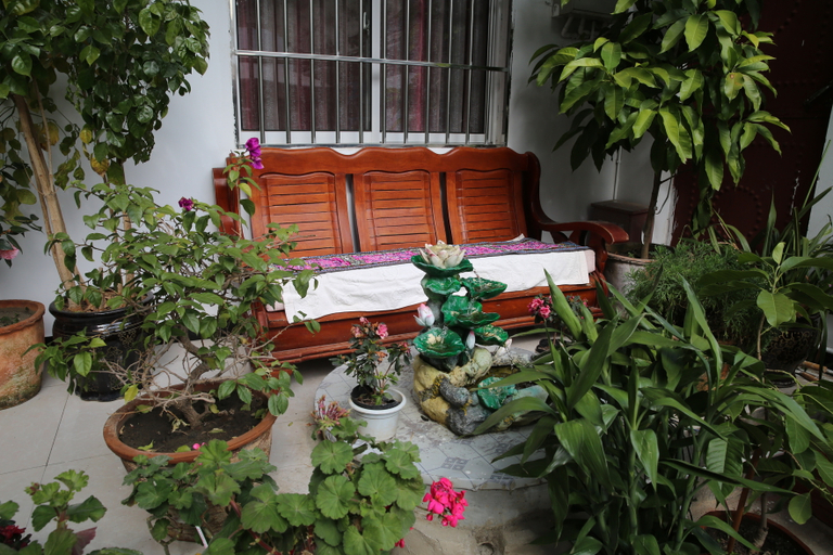 Others 4, Bimeijia Inn, Dali Bai