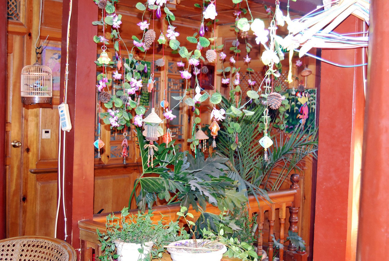 Others 5, Xiangzhi Hotel, Lijiang