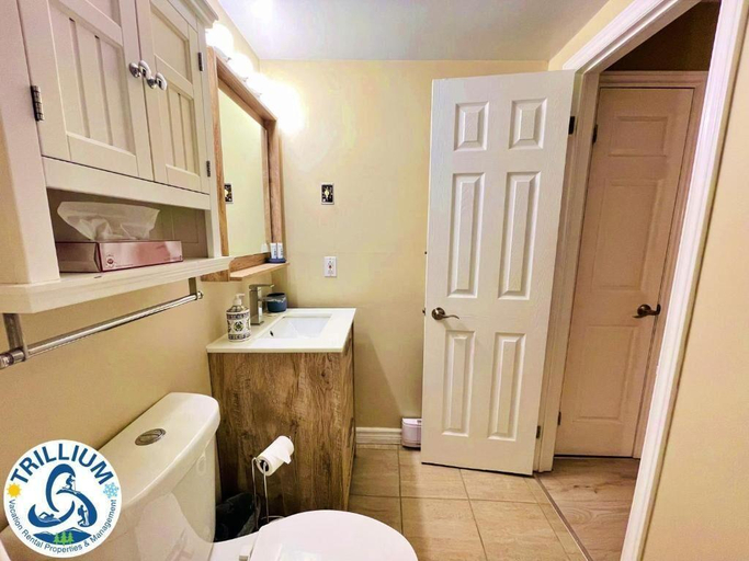 Bathroom 4, Rustic Mountainside Chalet, Grey