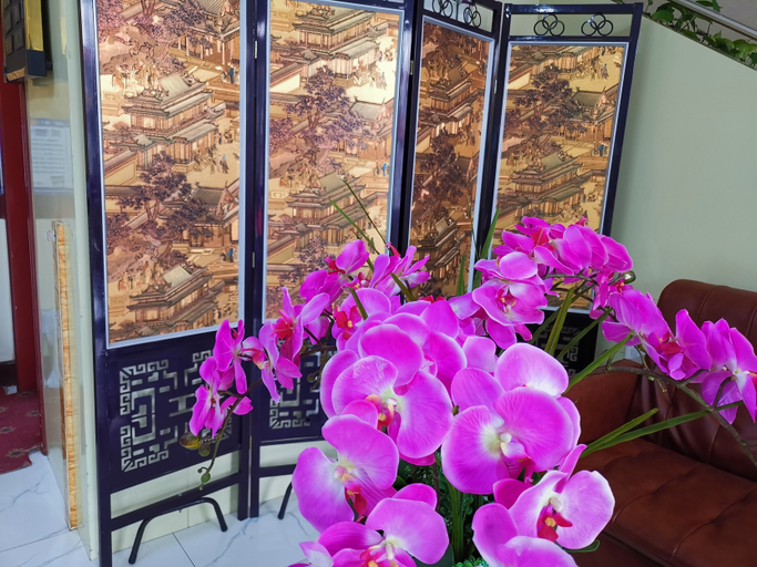 Others 5, LinXia XingKang Hotel, Linxia Hui